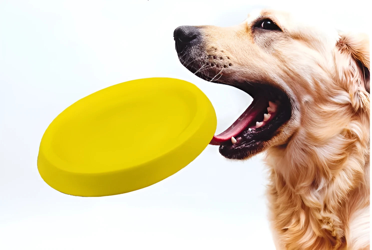 Bright yellow EVA plastic dog throwing toy for interactive training and bonding activities