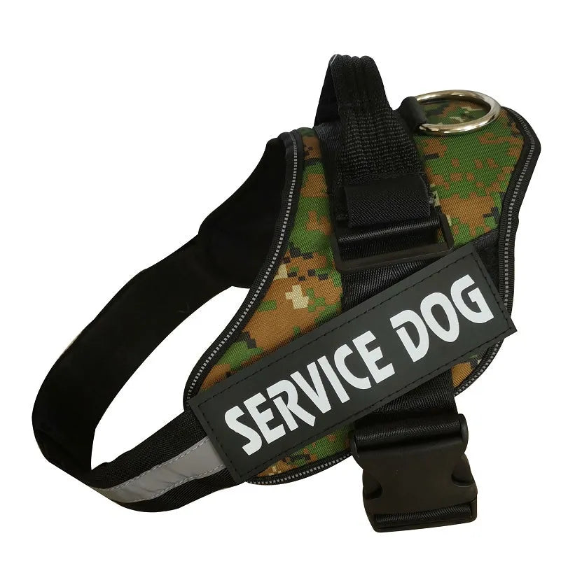 Adjustable nylon dog harness with reflective strips and a sturdy handle on a dog.