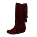 Women's suede high boots with tassels and a chunky heel in beige, shown from the side.