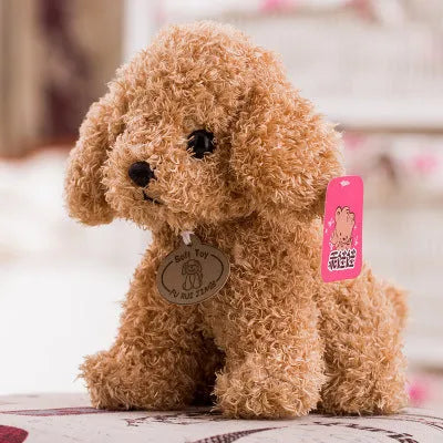Teddy dog plush toy in short plush, 20cm to 30cm, with colour box packaging and multiple colour options.
