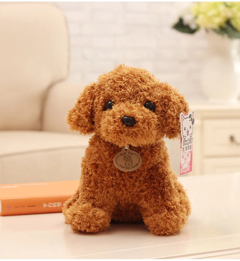Teddy dog plush toy in short plush, 20cm to 30cm, with colour box packaging and multiple colour options.