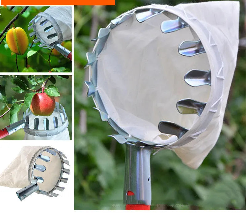 Steel frame fruit picker tool with a cloth collection bag for harvesting garden fruit.