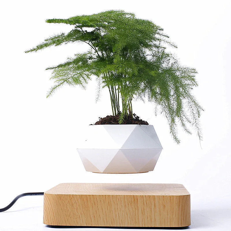 Magnetic floating bonsai plant rack with wood grain lower seat, 17x3cm creative gift ornament