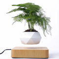 Magnetic floating bonsai plant rack with wood grain lower seat, 17x3cm creative gift ornament