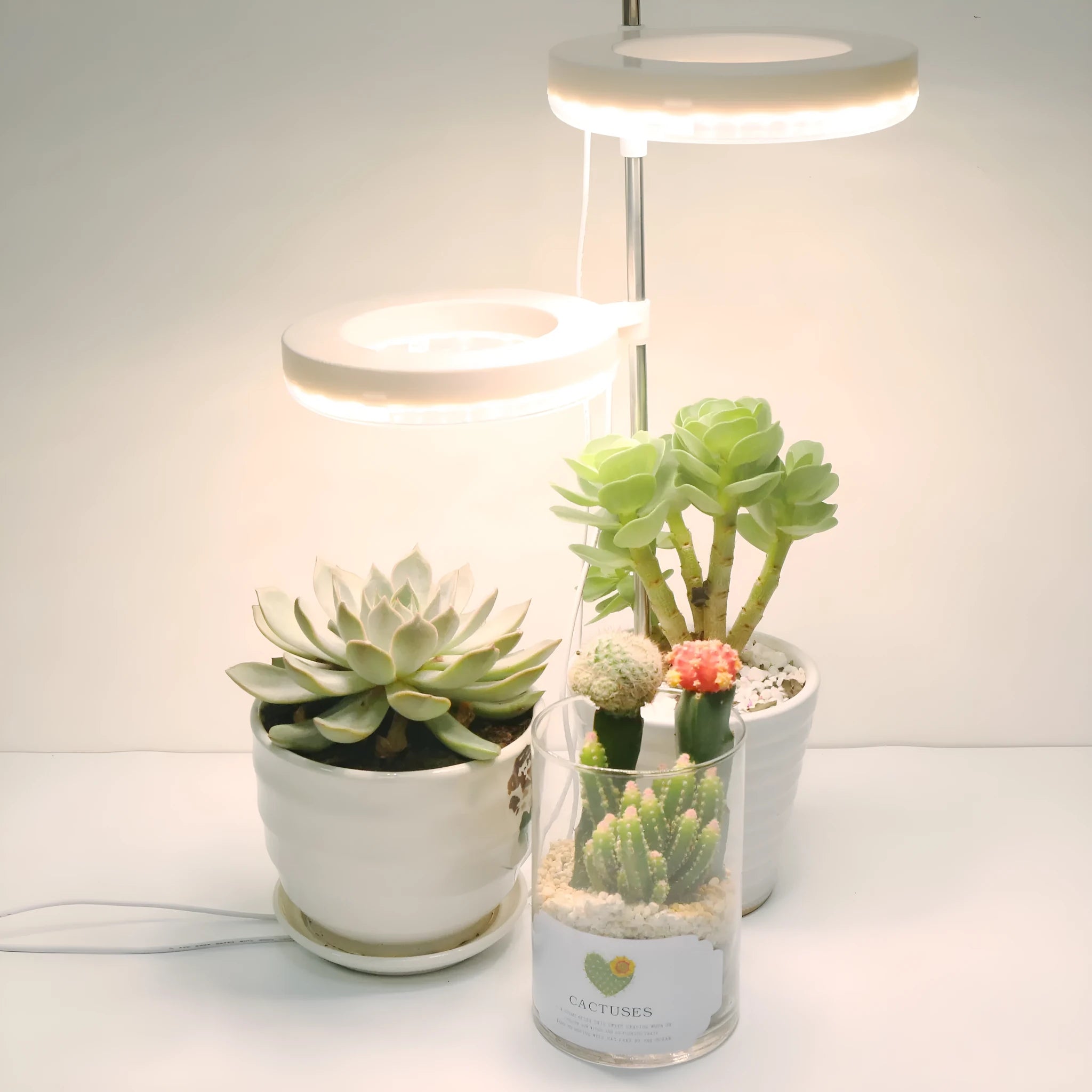 Desk plant growth lamp with full spectrum light for indoor plants, compact 160mm design