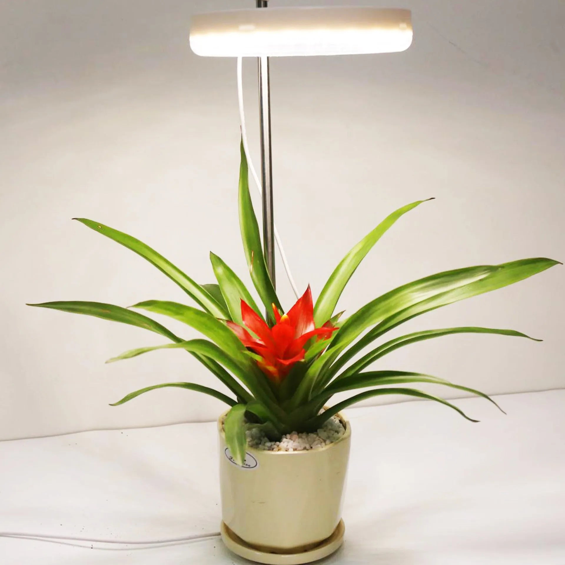 Desk plant growth lamp with full spectrum light for indoor plants, compact 160mm design