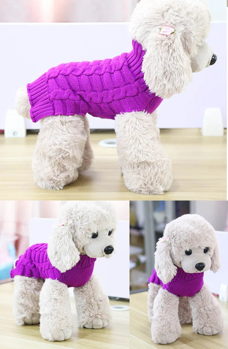 Dog wearing a wool twisted rope sweater in blue, pink, purple or red with size options from XS to XL.