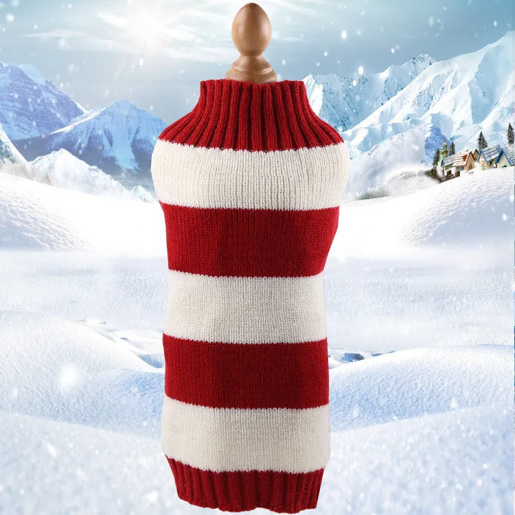 Dog wearing a wool twisted rope sweater in blue, pink, purple or red with size options from XS to XL.