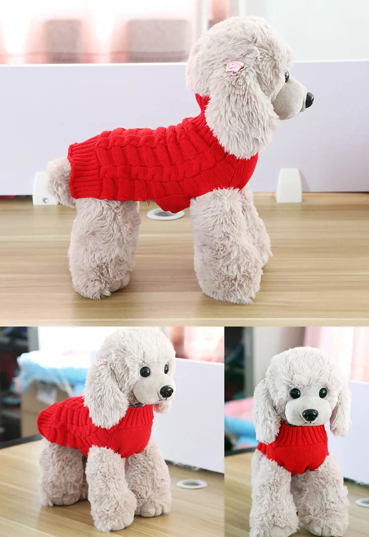 Dog wearing a wool twisted rope sweater in blue, pink, purple or red with size options from XS to XL.