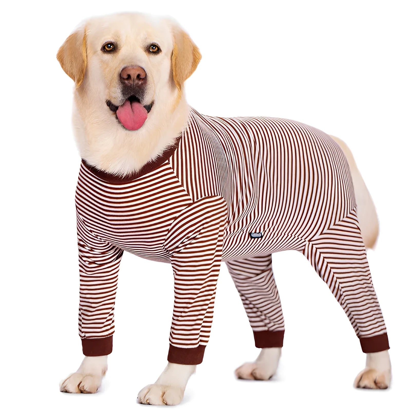 Striped four-legged dog shirt on Golden Retriever, available in sky blue, black dark blue stripe and brown colours