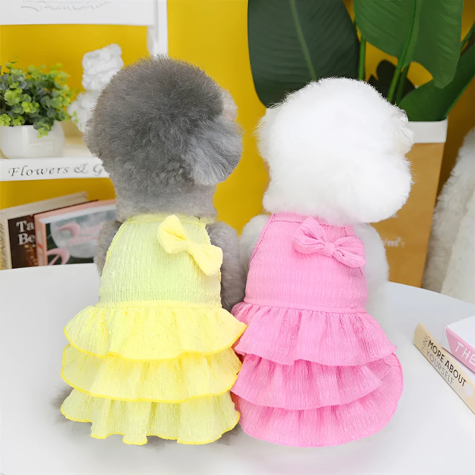 Small white dog wearing a rose red polyester princess dress with a layered candy skirt