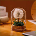 Glass dandelion-shaped night light ornament with gradient colour options on display surface