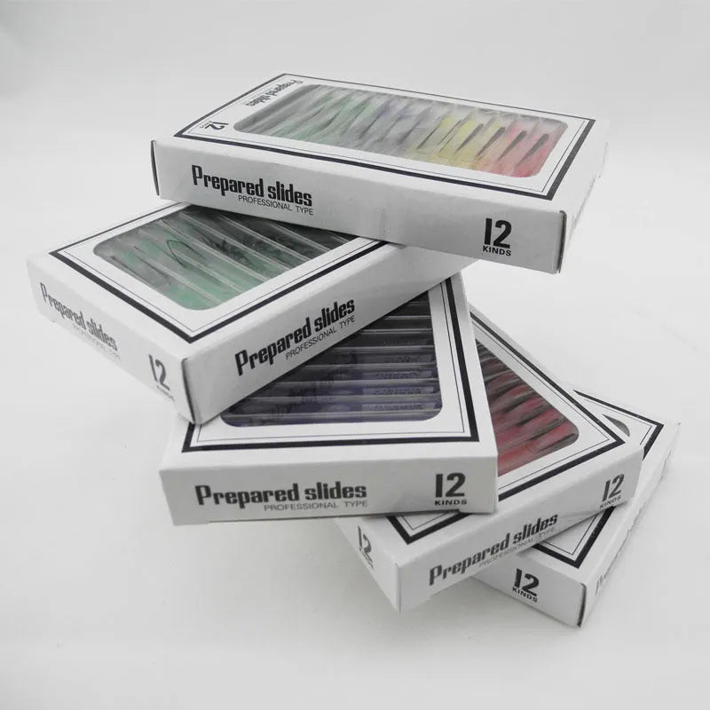 Plastic microscope slides with prepared biological specimens in red, green, yellow, and blue colour-coded categories