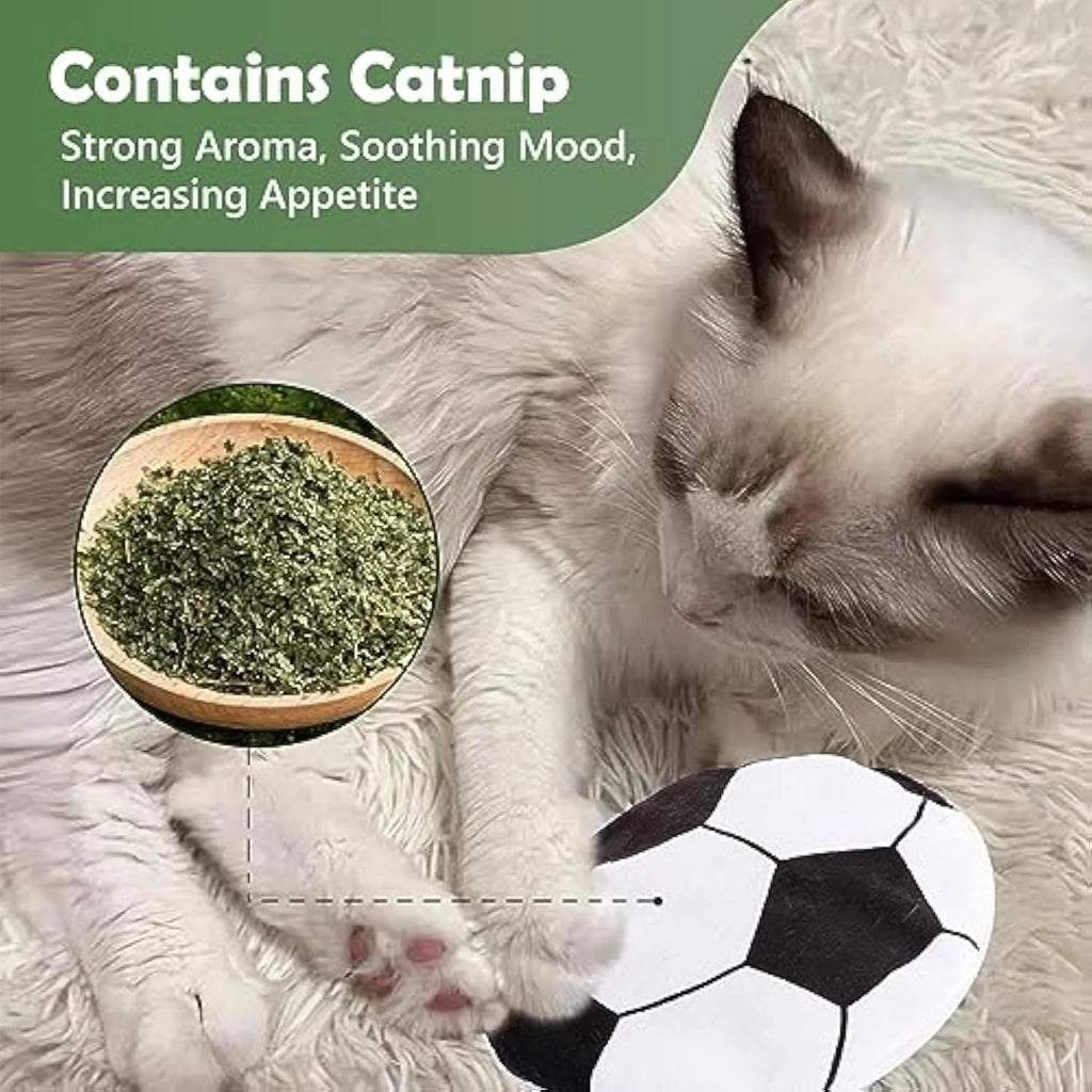 Catnip flying disc toy with plush exterior and sports ball patterning for indoor cats