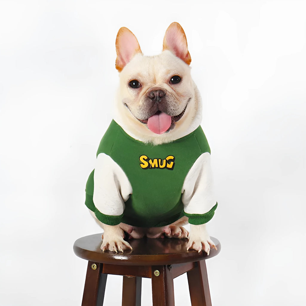 Green cotton dog clothing shown on large breed dog for autumn and winter wear