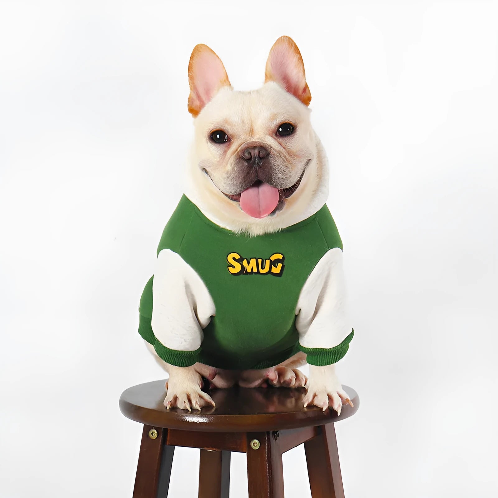 Green cotton dog clothing shown on large breed dog for autumn and winter wear