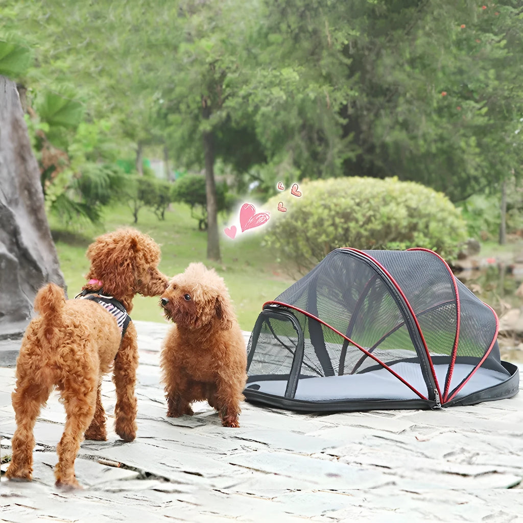Folding cat tent with half mesh windows in collapsed and assembled positions