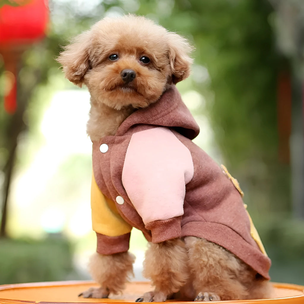 A brown cotton sweatshirt for a dog, showing a casual fit and soft fabric.