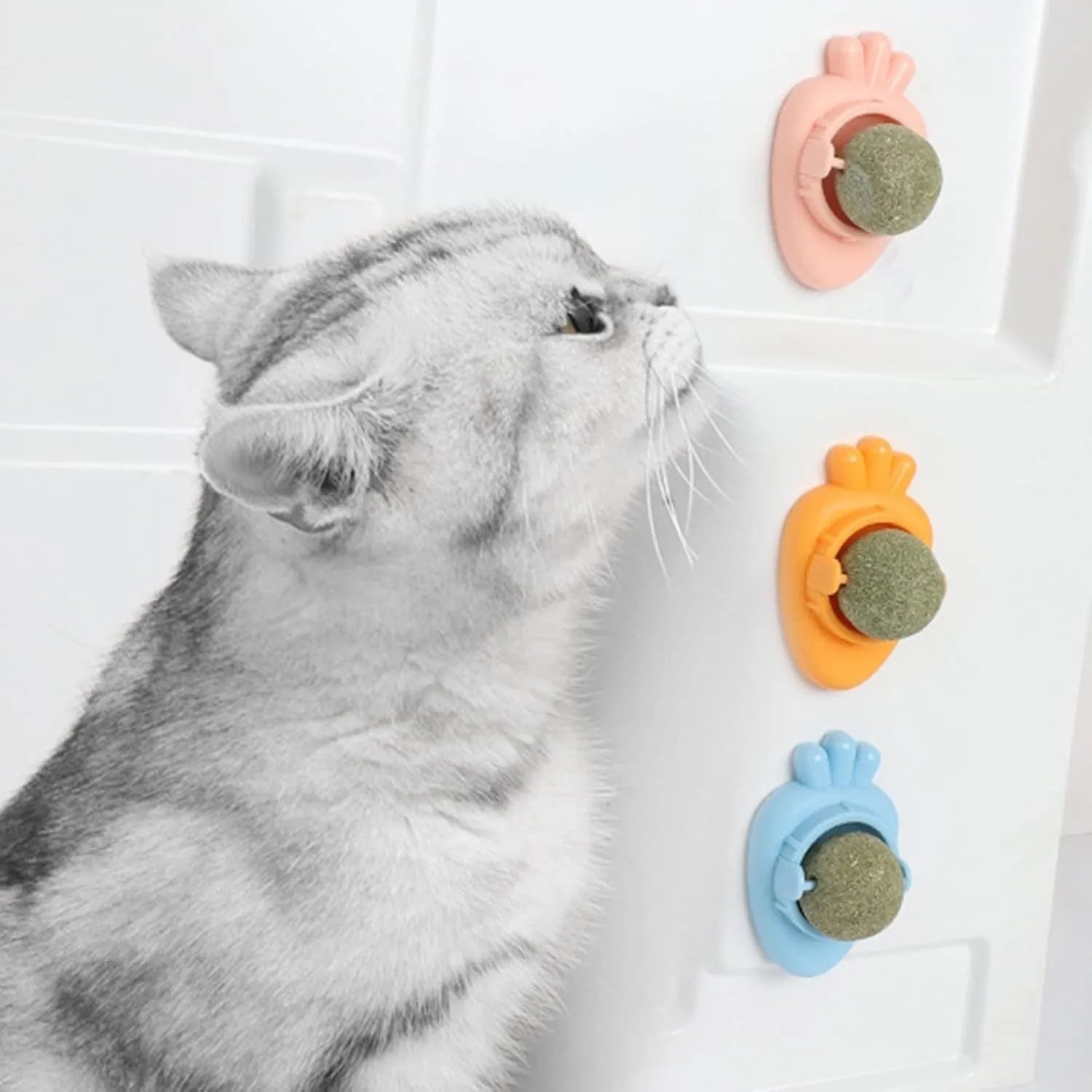 Blue carrot-shaped catnip ball with self-adhesive backing for wall mounting to clean cat teeth