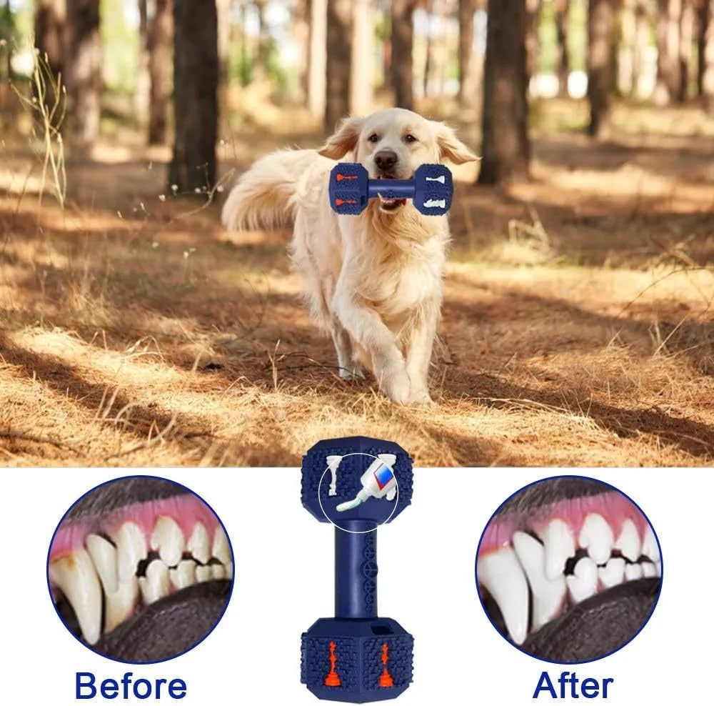 Blue hollow dumbbell-shaped dog chew toy with textured surface on a white background.