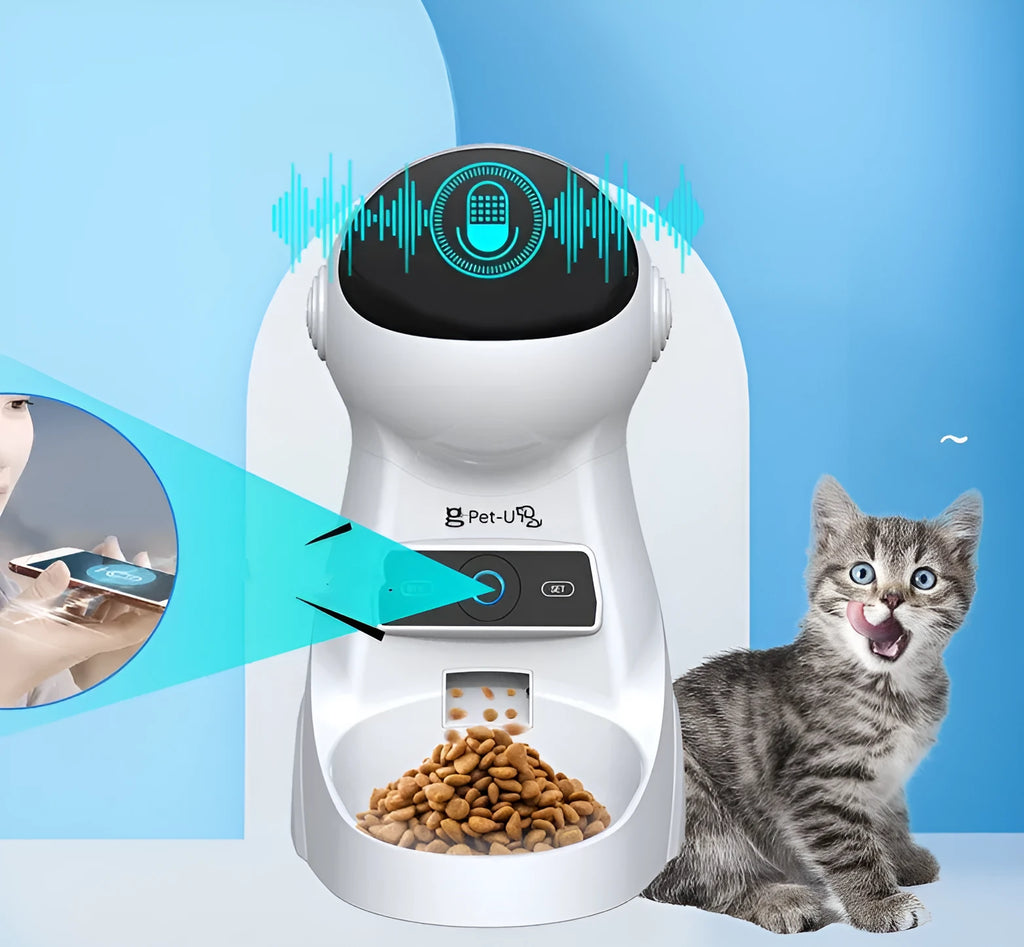 White automatic pet feeder, L210 x W290 x H380 mm, with 3L dry food capacity and USB power cord
