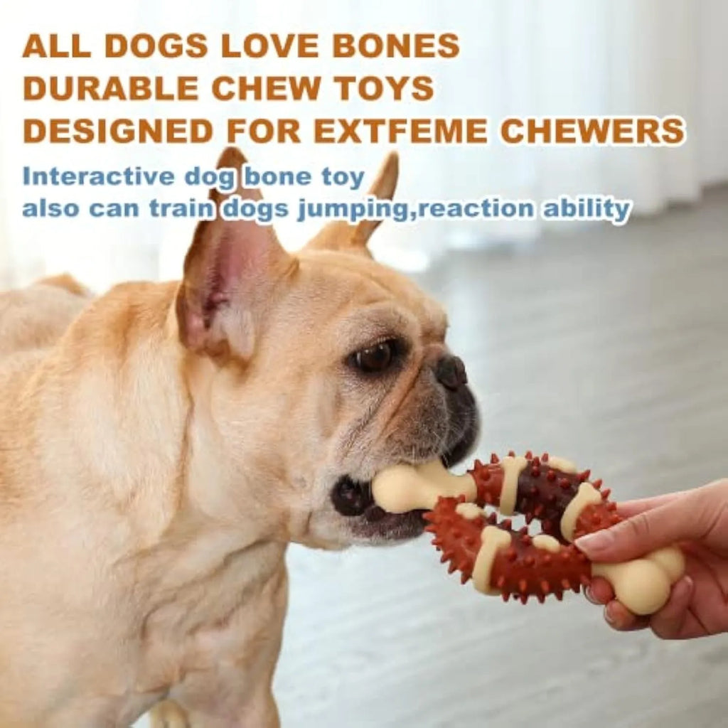 Natural rubber bone-shaped dog chewing toy for dental health in two sizes