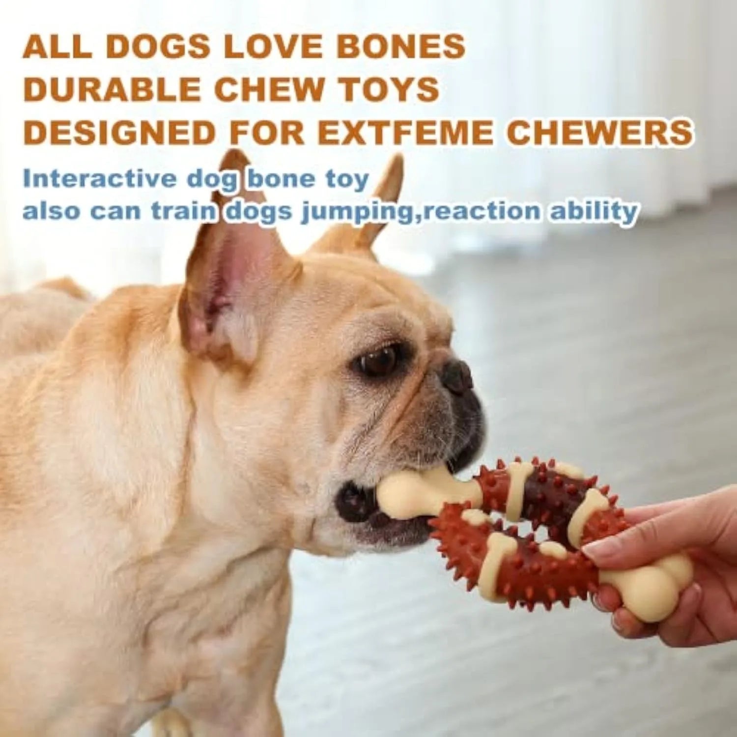 Natural rubber bone-shaped dog chewing toy for dental health in two sizes