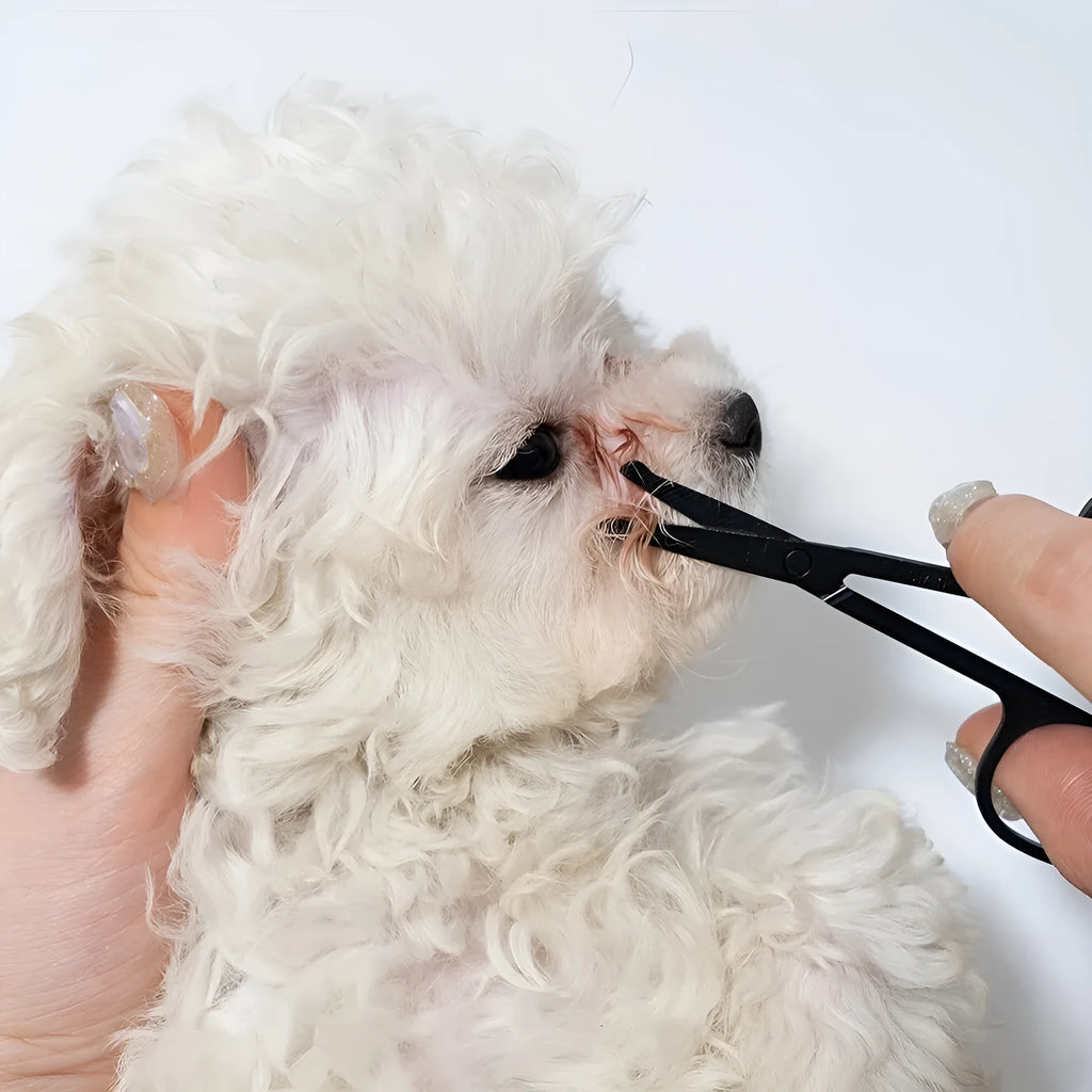Black dual-head pet grooming brush with soft silicone bristles and a comb for eye cleaning and hair removal.