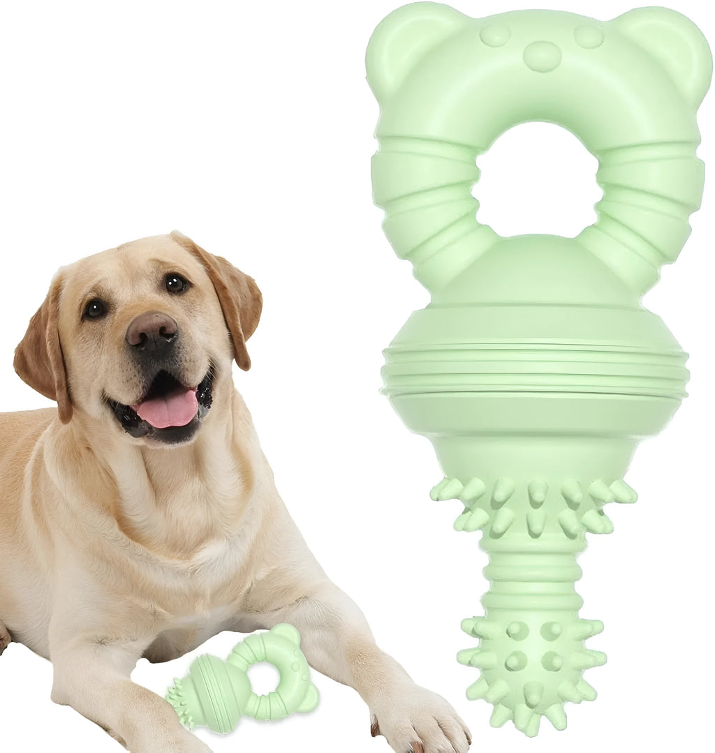 Blue molar-shaped rubber dog chew toy with textured surface for teeth cleaning.