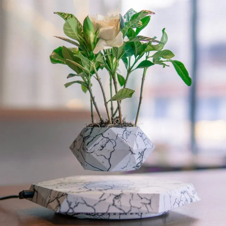 Magnetic levitating marble-colour plant pot floating above base with small plant