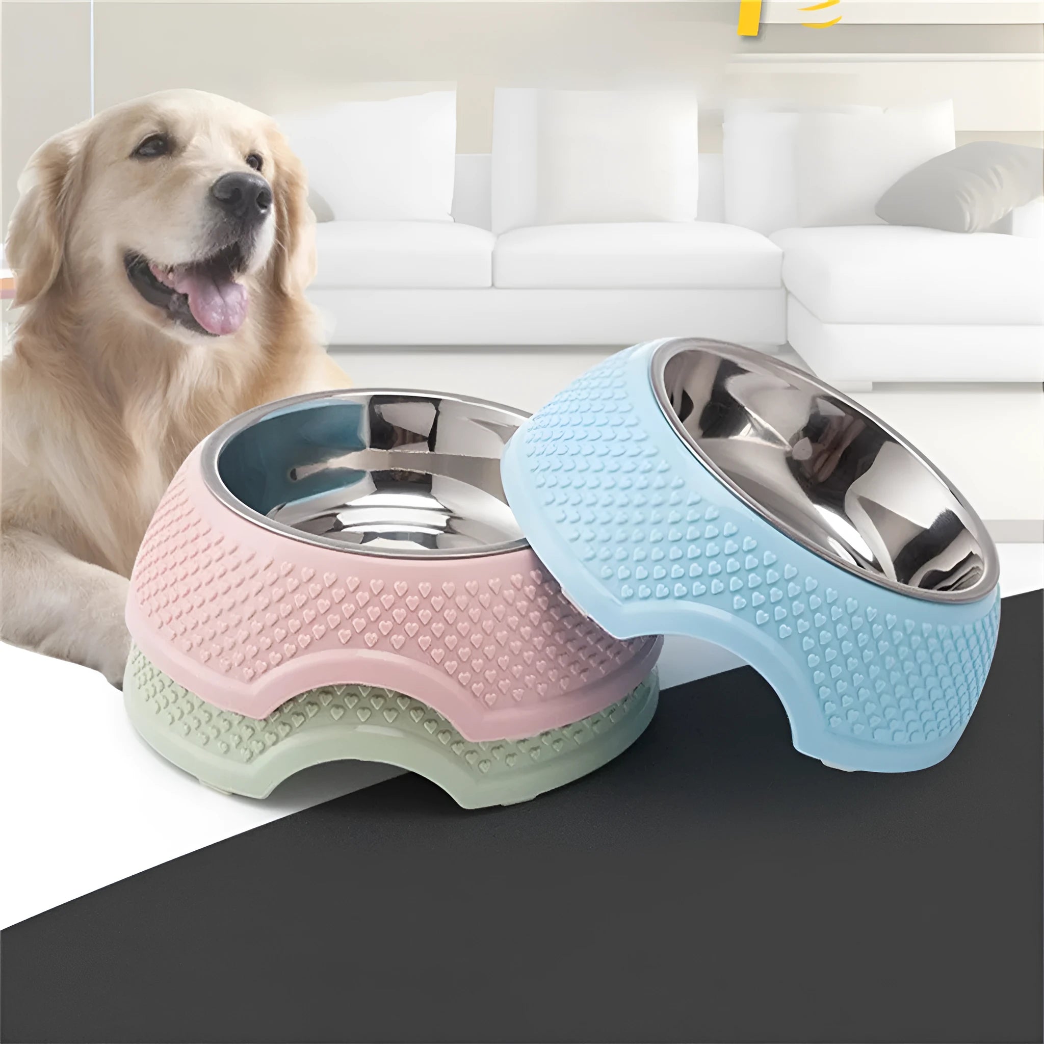 Stainless steel pet bowl with non-slip base in blue, green, and pink colour options.