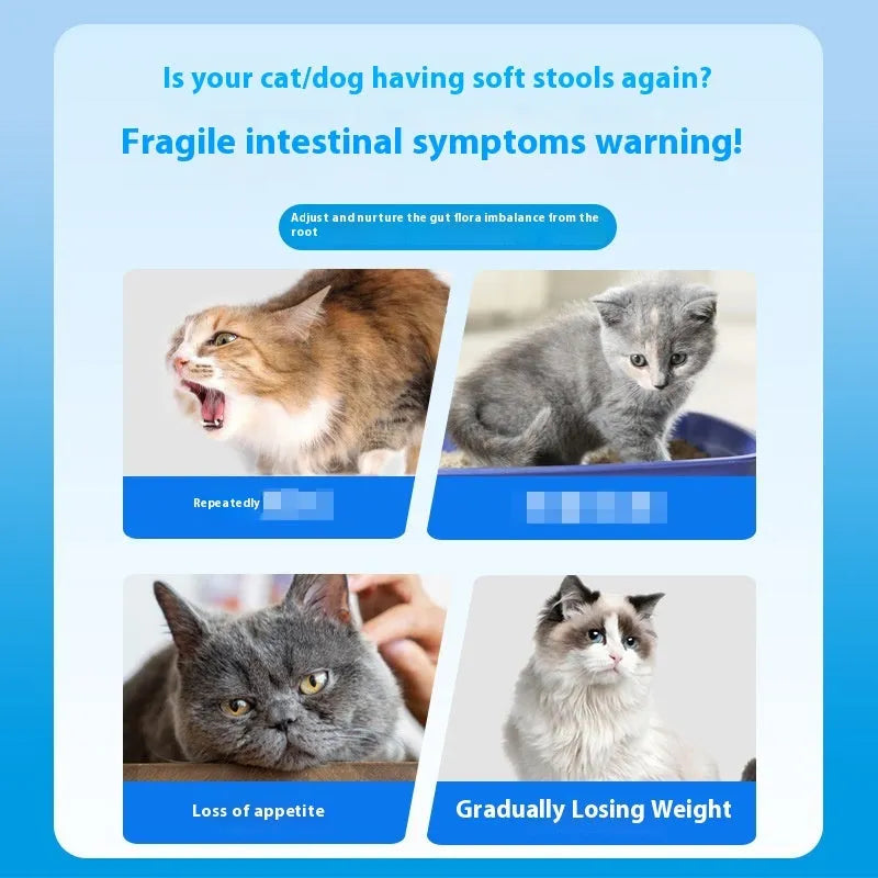 Bottle of Pet Active Probiotic Tablets containing 180 tablets for dog and cat digestive health