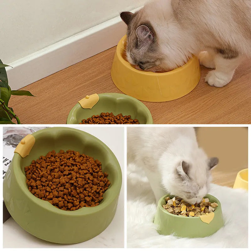 Green plastic double pet bowl with flower-shaped base for cat or small dog food and water.