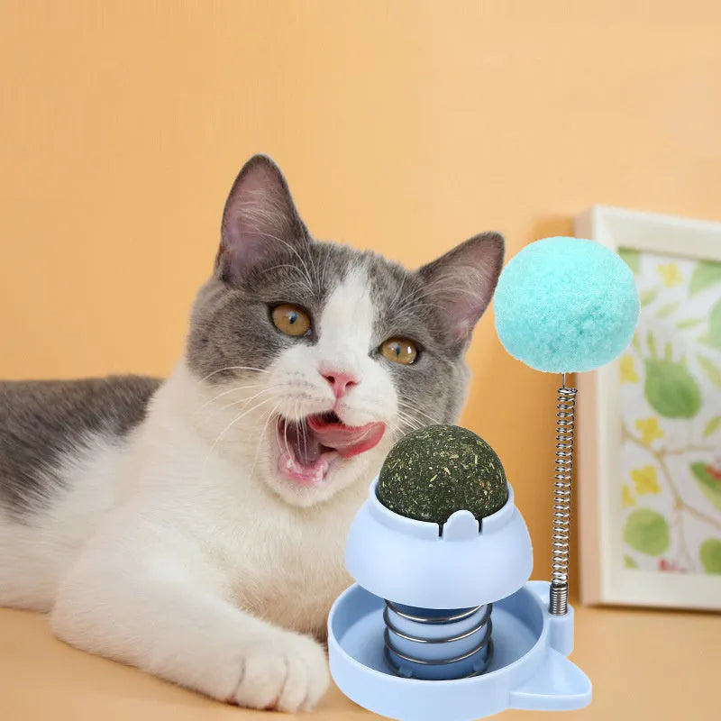 Blue, orange, and pink Lucky Cat Mint Ball toys measuring 55mm with textured surfaces for feline enrichment