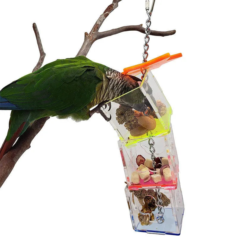 Clear acrylic parrot foraging toy measuring 5x5x32cm for bird enrichment with fruit and nuts