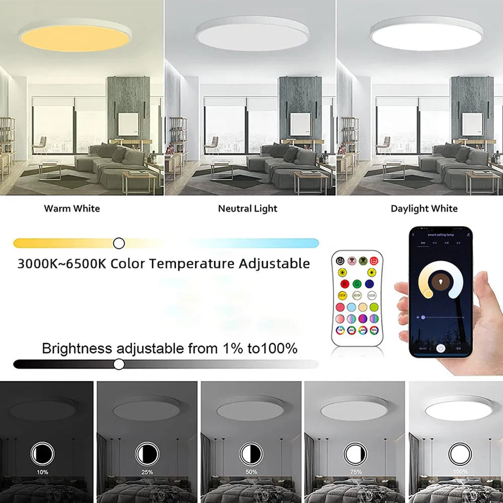 RGBCW intelligent Bluetooth ceiling lamp in black or white with remote control
