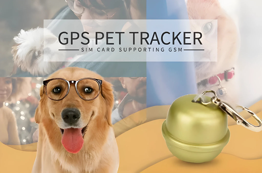 Black GPS dog tracker collar attached to a nylon strap on a dog's neck.