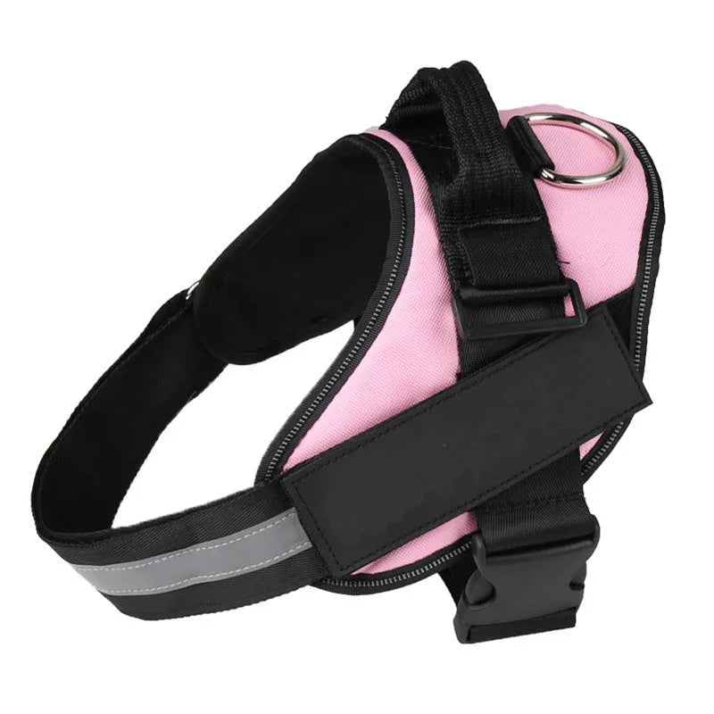Adjustable nylon dog harness with reflective strips and a sturdy handle on a dog.