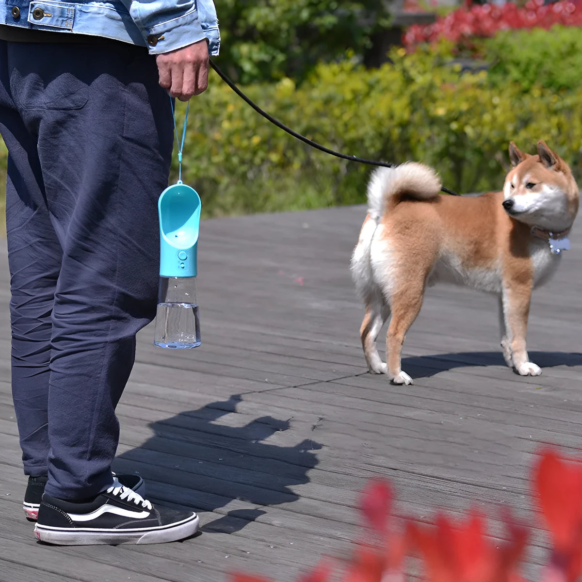 360ml pet accompanying cup cat water bottle with transparent PET body, activated carbon filtration, 75x75x270mm