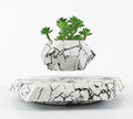 Magnetic levitating marble-colour plant pot floating above base with small plant