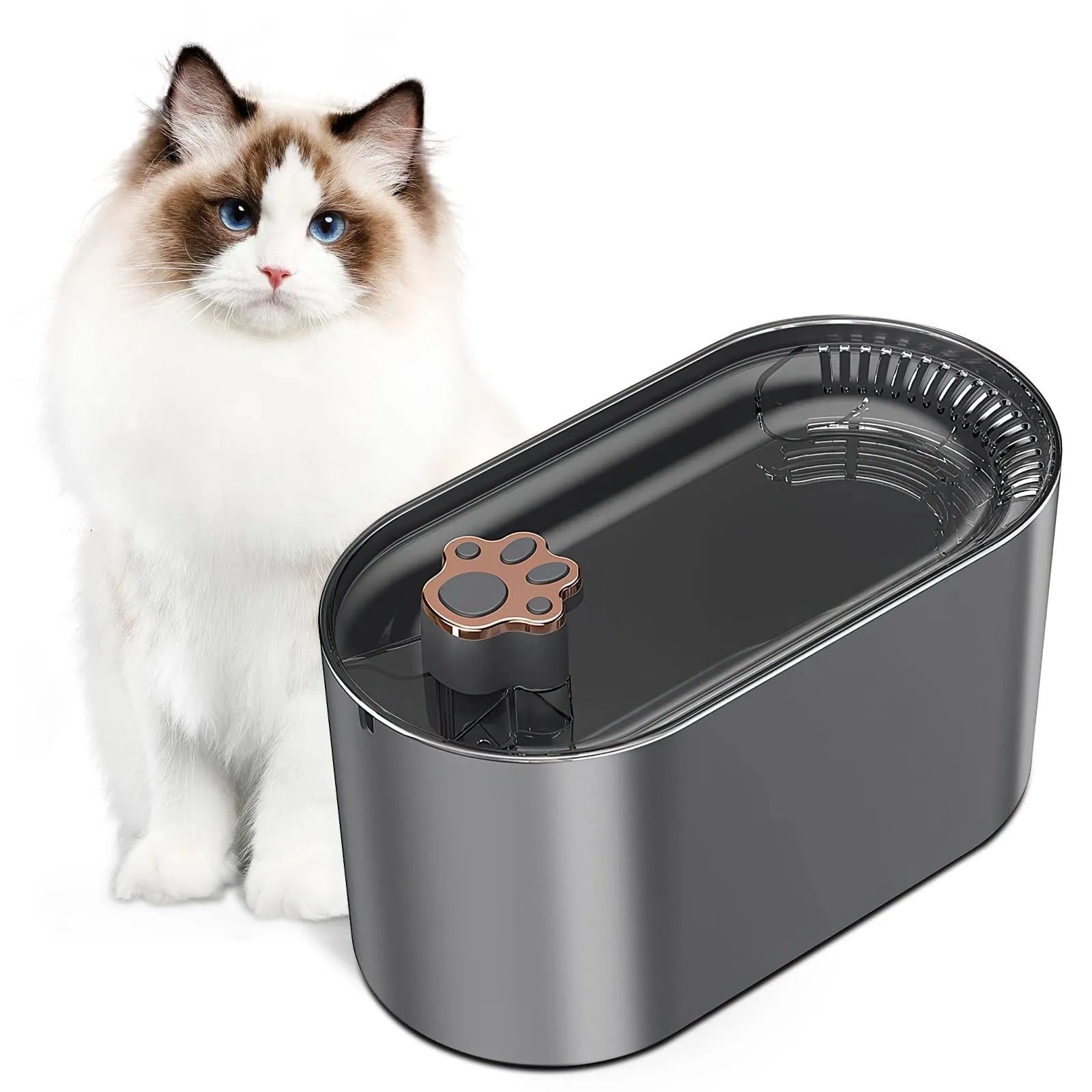 Automatic pet water fountain in Berlin blue colour with 3 litre capacity and LED indicator light