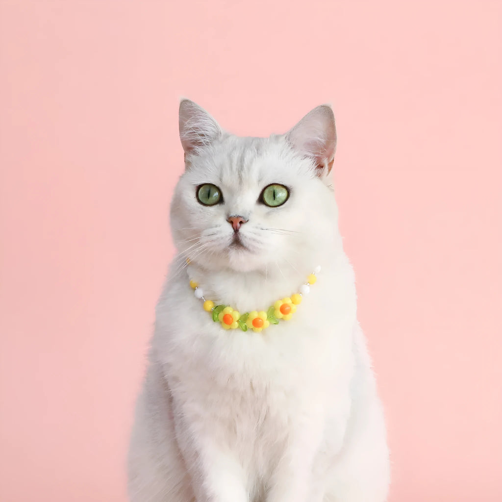 Colourful plastic bead pet necklace with small flower design on a adjustable strap.