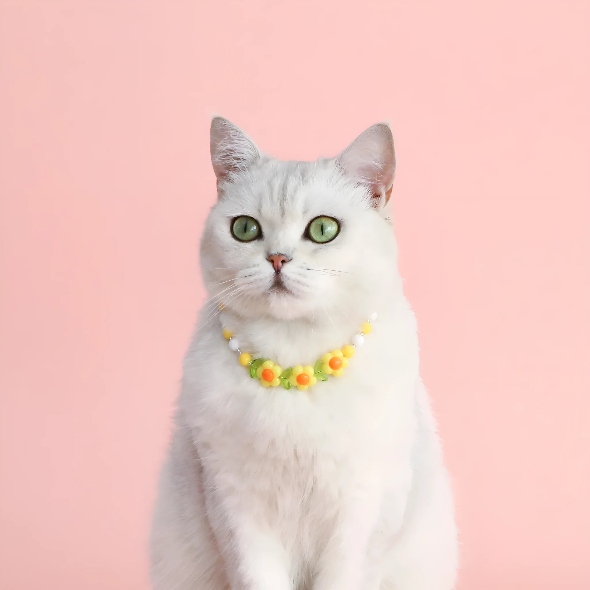Colourful plastic bead pet necklace with small flower design on a adjustable strap.