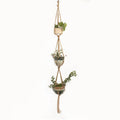 Woven wire rope plant holder with cotton rope in desktop, wall, and hanging styles.