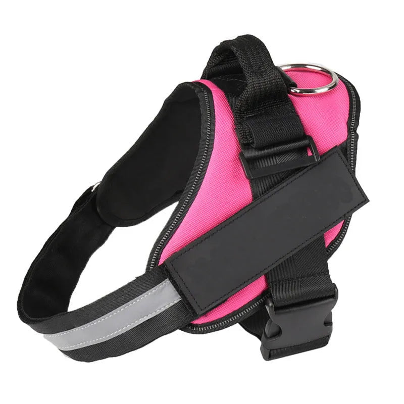 Adjustable nylon dog harness with reflective strips and a sturdy handle on a dog.
