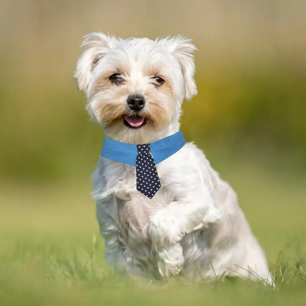 Adjustable denim dog collar with star-pattern bow tie attachment for formal occasions