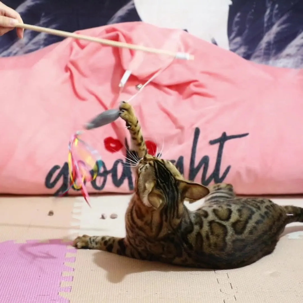 Cat wand toy with wooden handle, colourful ribbons, catnip fish and bell for interactive play