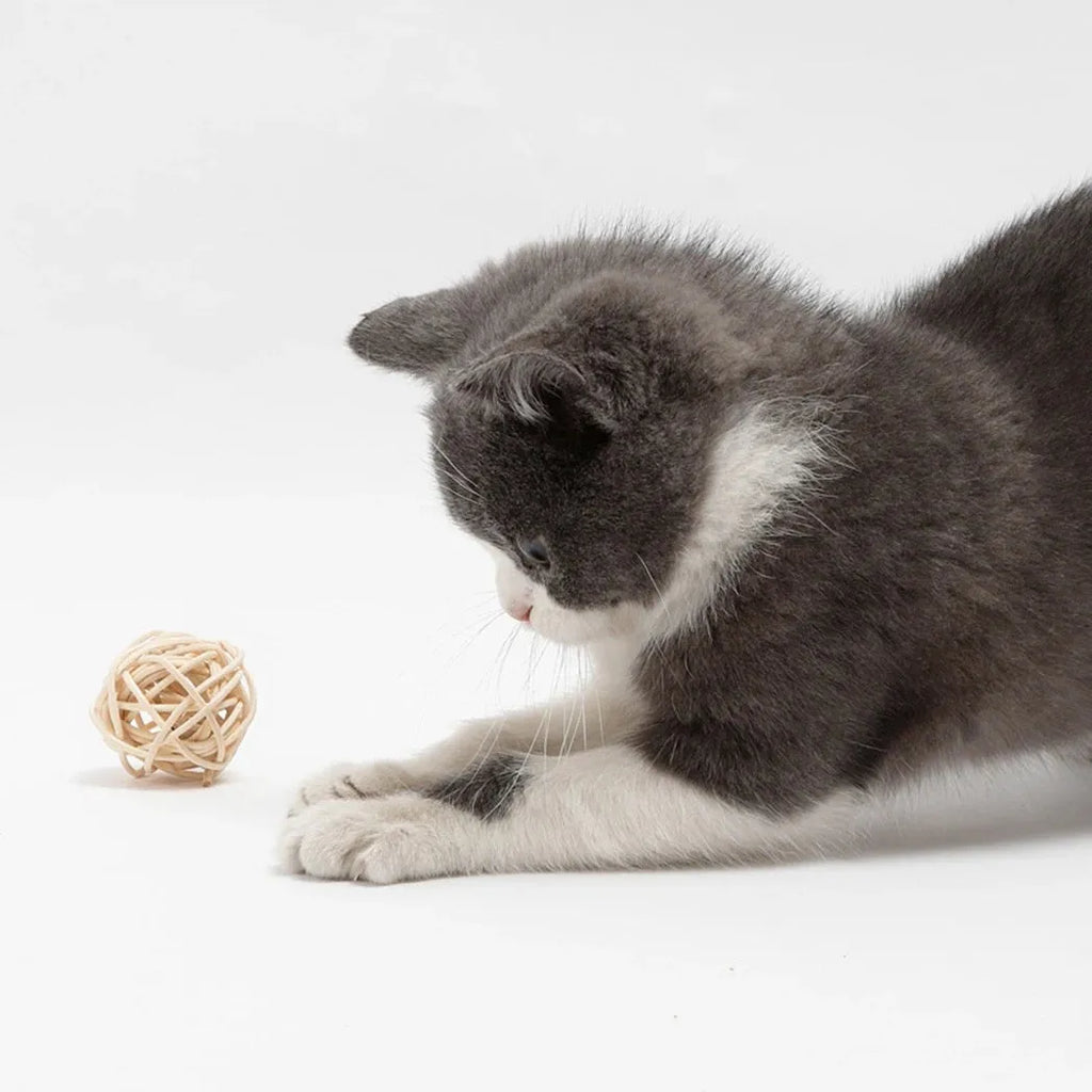 Two cat toys: a rattan ball with a bell and a faux feather ball on a plain background.