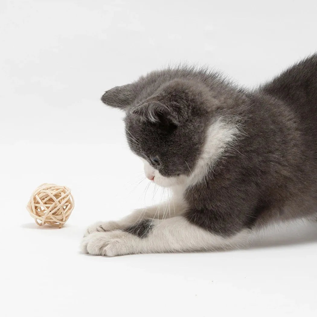 Two cat toys: a rattan ball with a bell and a faux feather ball on a plain background.