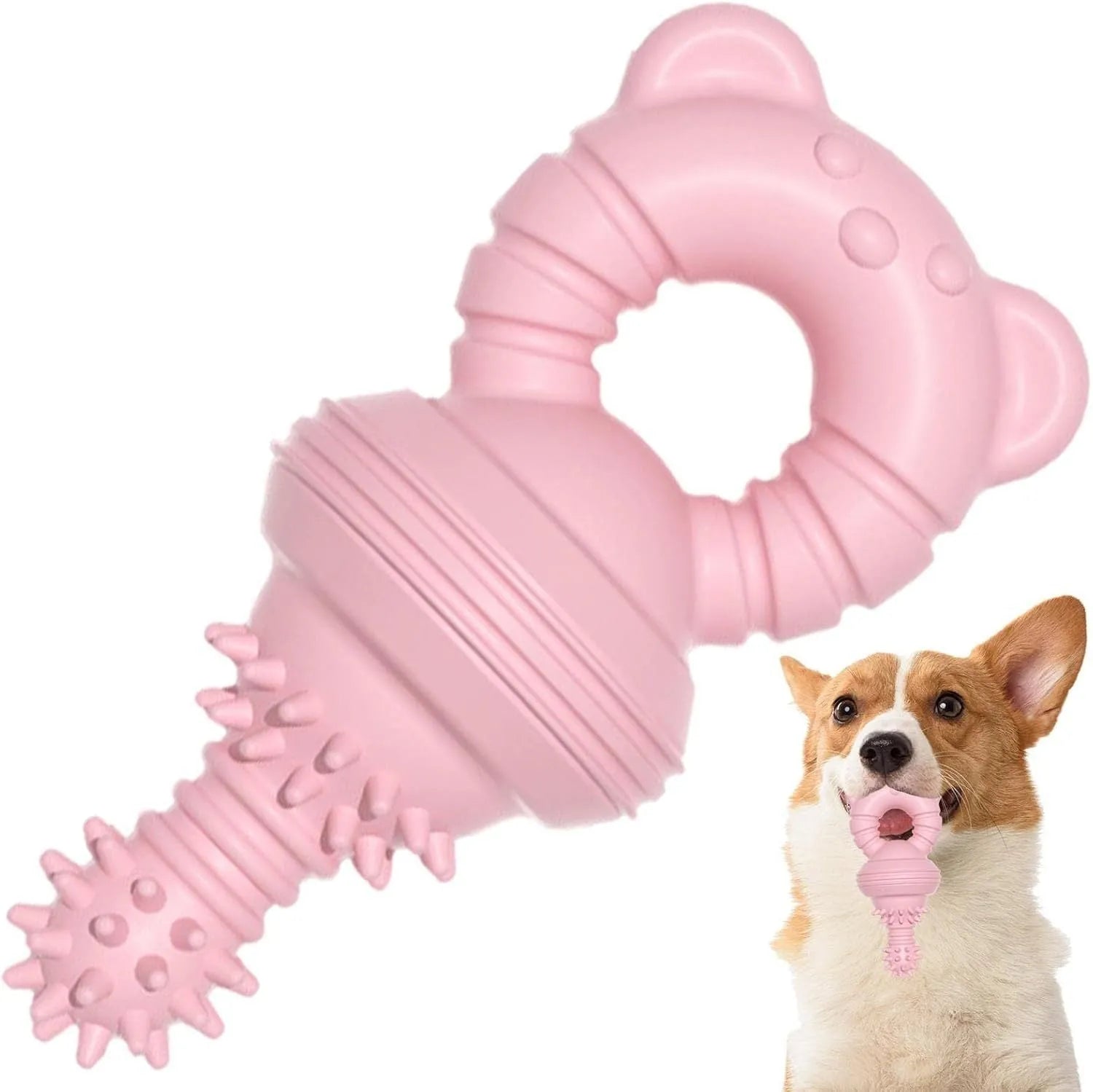 Blue molar-shaped rubber dog chew toy with textured surface for teeth cleaning.